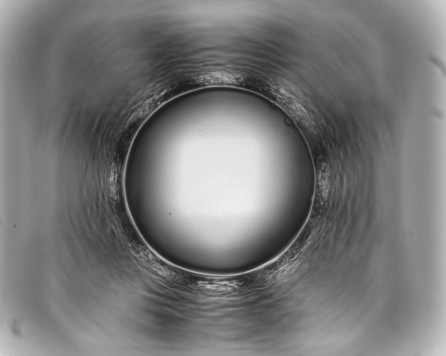 X0000098080359200804181204