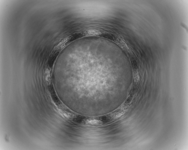 X0000098080360200804181204