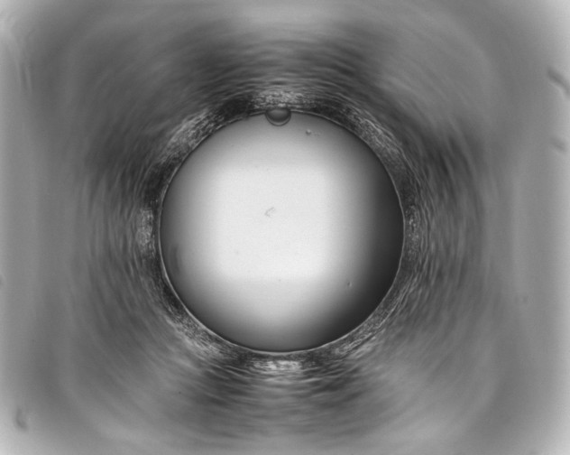 X0000098080361200804181204