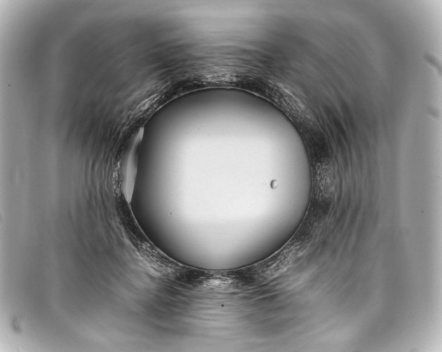 X0000098080364200804181205