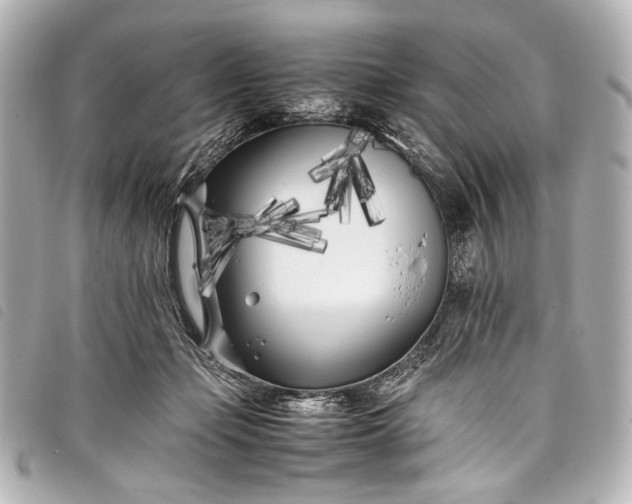 X0000098080365200804181205