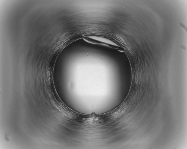 X0000098080366200804181205