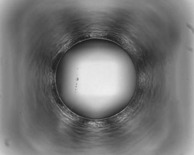 X0000098080367200804181205