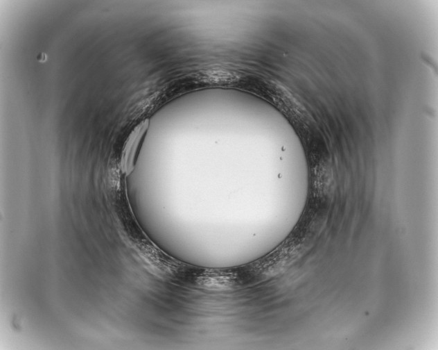 X0000098080368200804181205