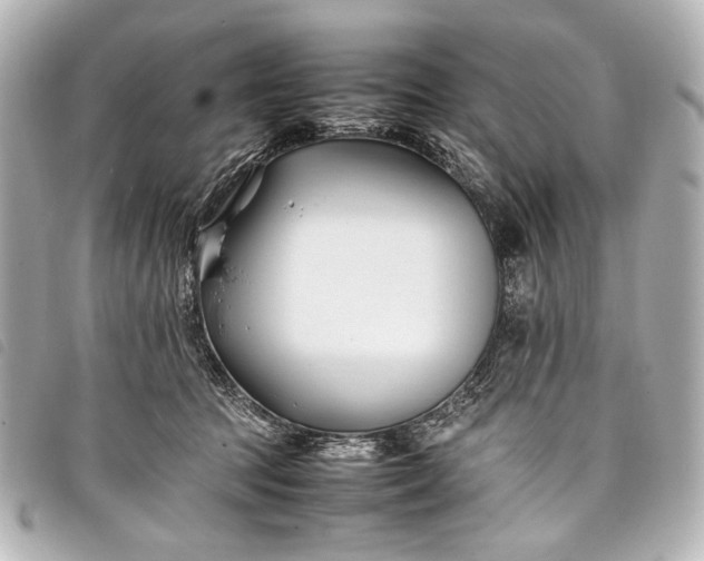 X0000098080369200804181205