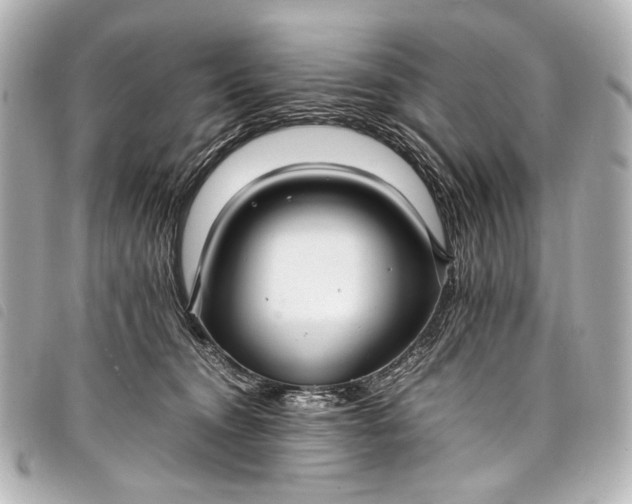 X0000098080372200804181205