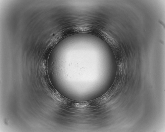 X0000098080373200804181205