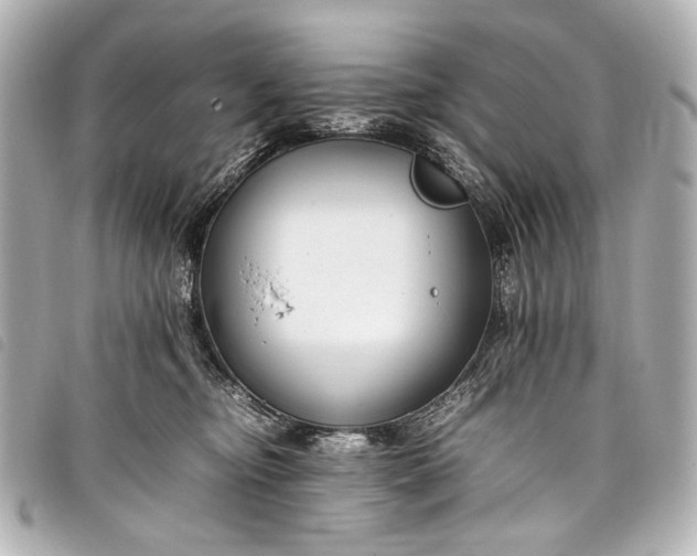 X0000098080374200804181205