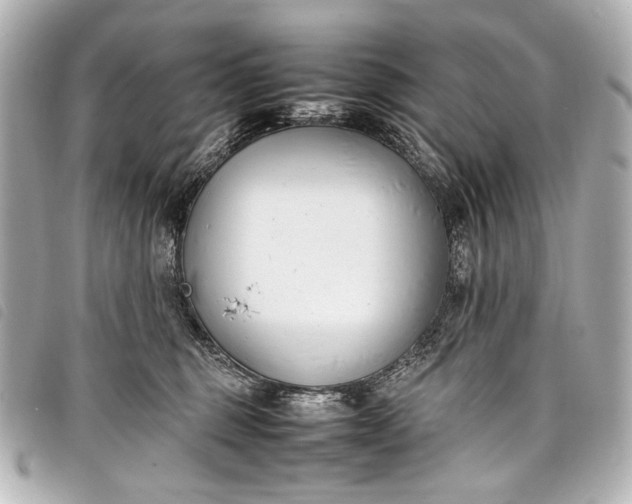 X0000098080375200804181205