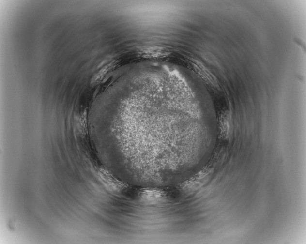 X0000098080376200804181205