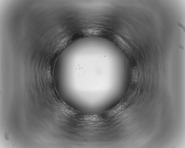 X0000098080377200804181205