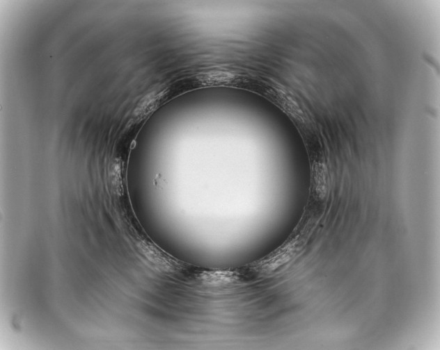 X0000098080378200804181205