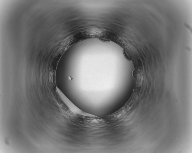 X0000098080379200804181205