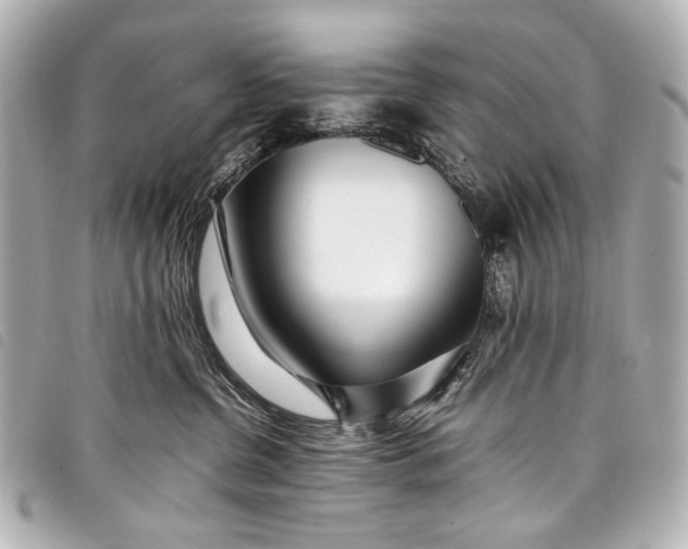 X0000098080380200804181205