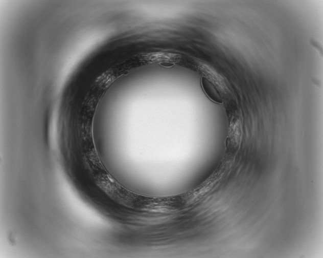 X0000098080381200804181205