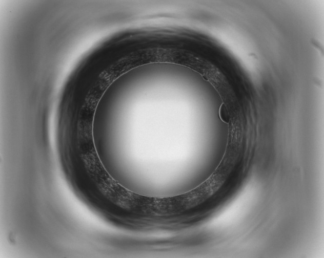 X0000098080383200804181205