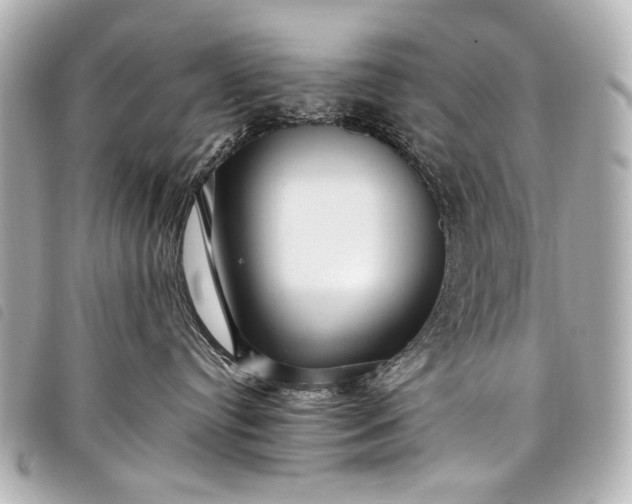 X0000098080384200804181205