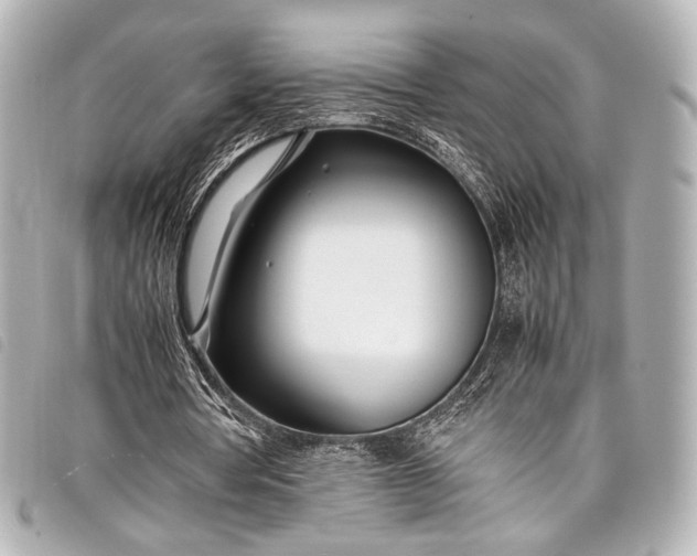 X0000098080386200804181204