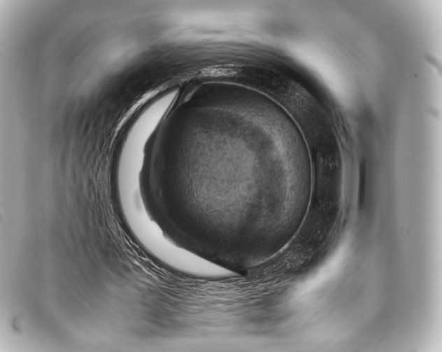 X0000098080387200804181204