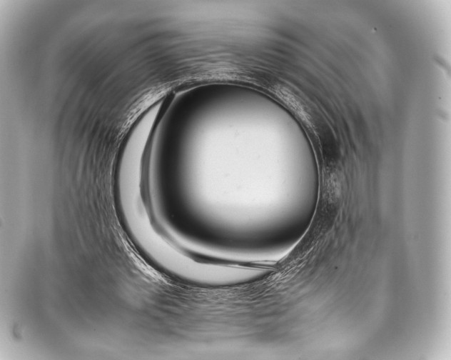 X0000098080389200804181204