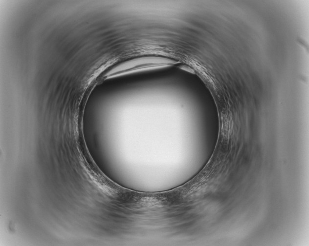 X0000098080390200804181204