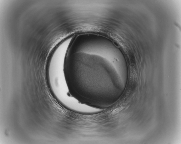 X0000098080391200804181204