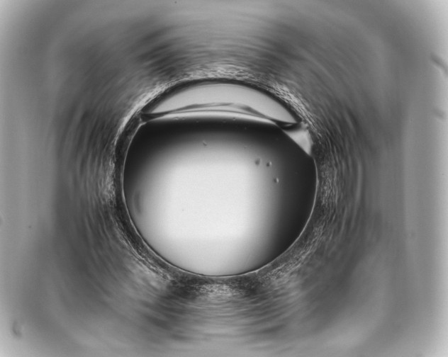 X0000098080392200804181204