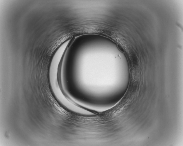 X0000098080393200804181204