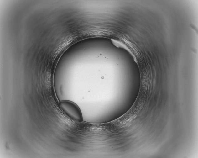 X0000098080394200804181204