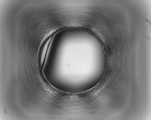 X0000098080395200804181204