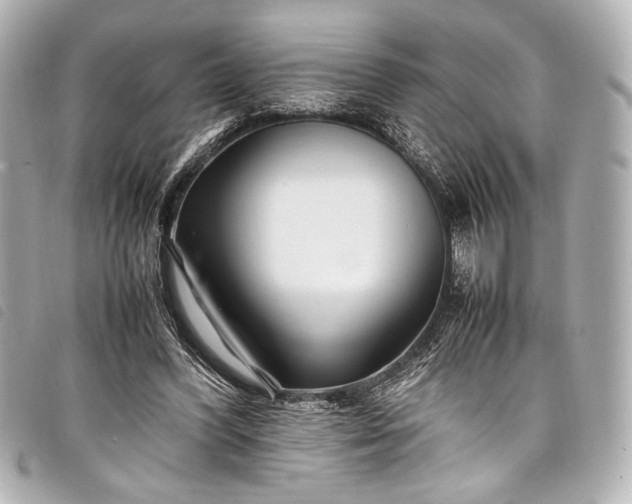 X0000098080396200804181204