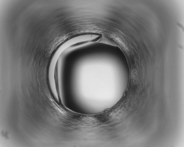 X0000098080397200804181204