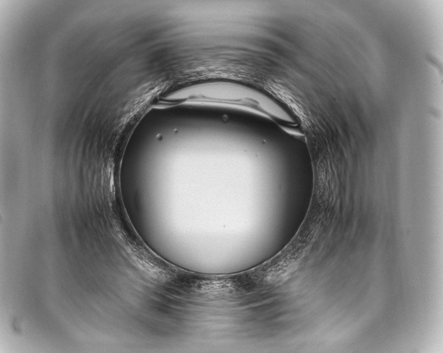 X0000098080398200804181204