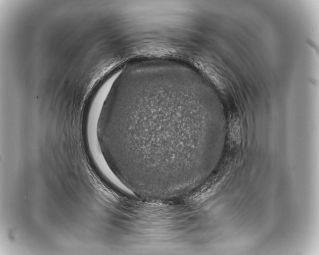 X0000098080399200804181204