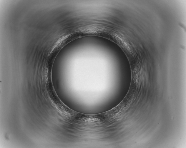 X0000098080400200804181204