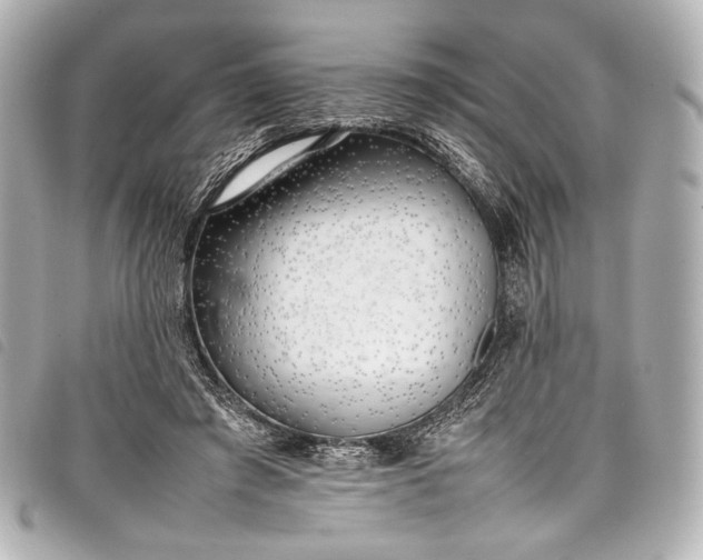 X0000098080401200804181204