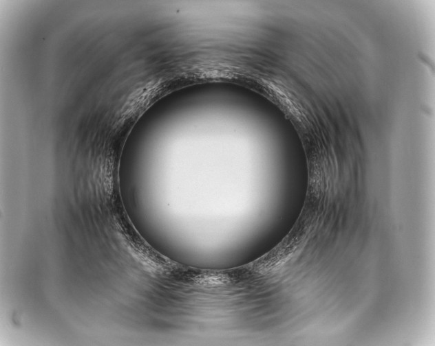 X0000098080402200804181204