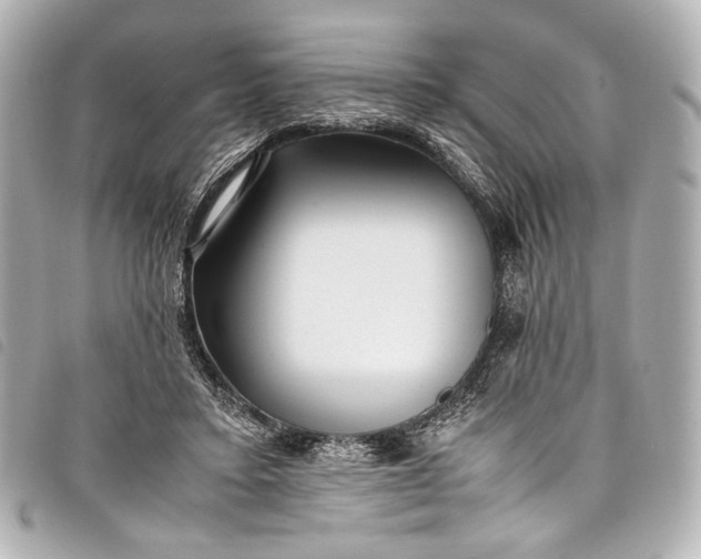 X0000098080403200804181204