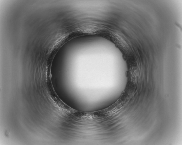 X0000098080404200804181204