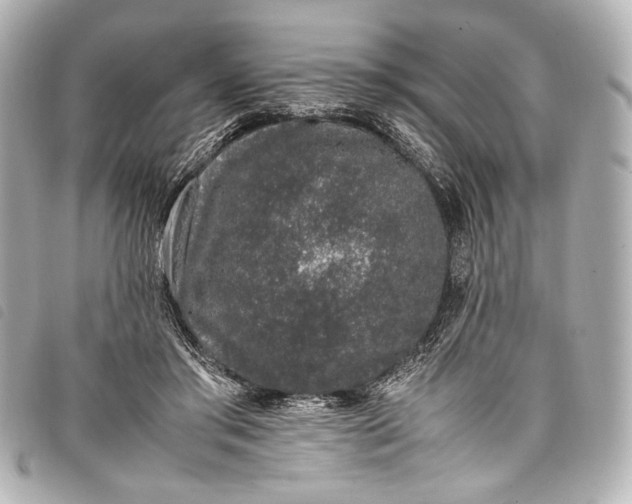 X0000098080405200804181204