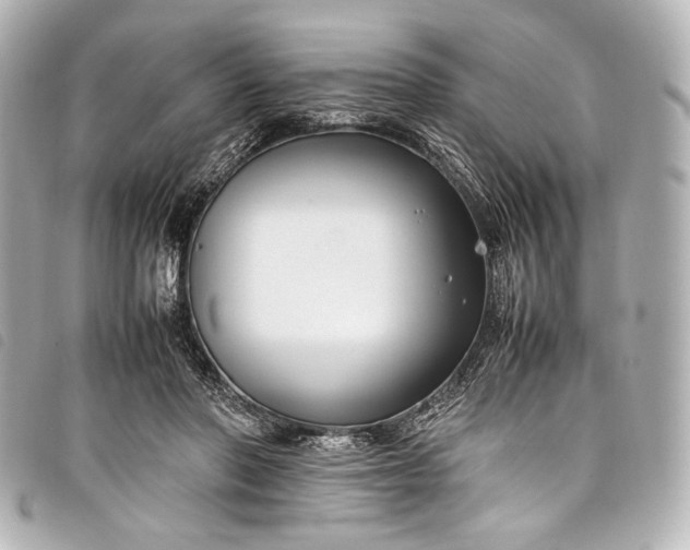 X0000098080406200804181204