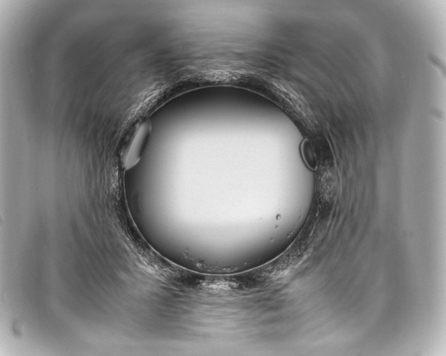 X0000098080407200804181204