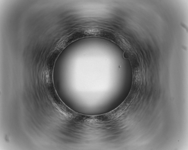 X0000098080408200804181204