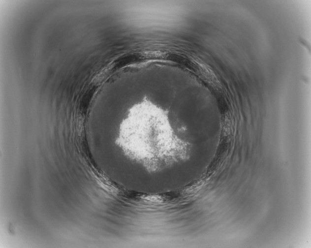 X0000098080409200804181204