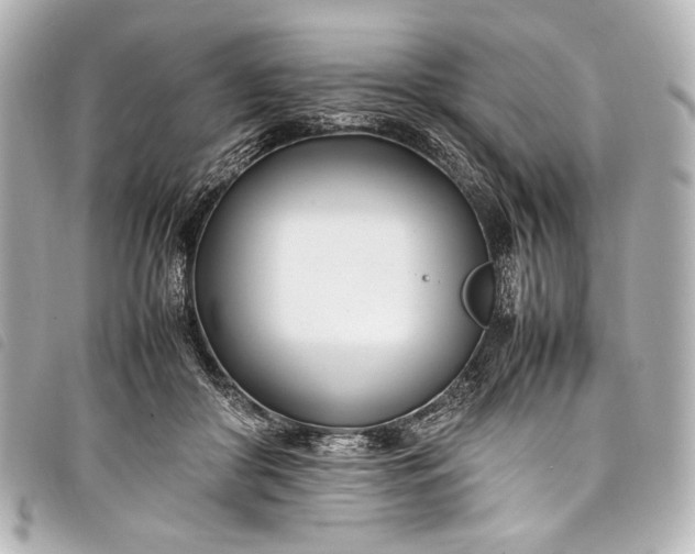 X0000098080410200804181203