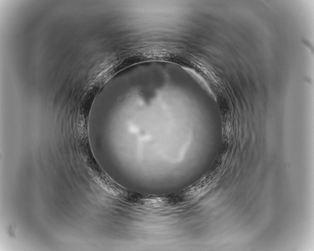 X0000098080411200804181203