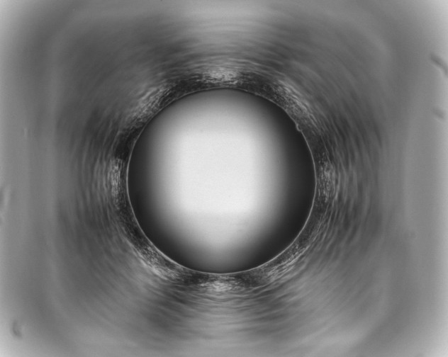 X0000098080412200804181203