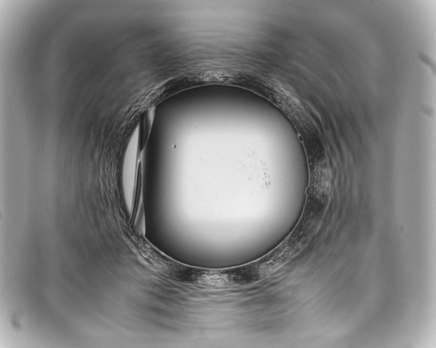 X0000098080413200804181203