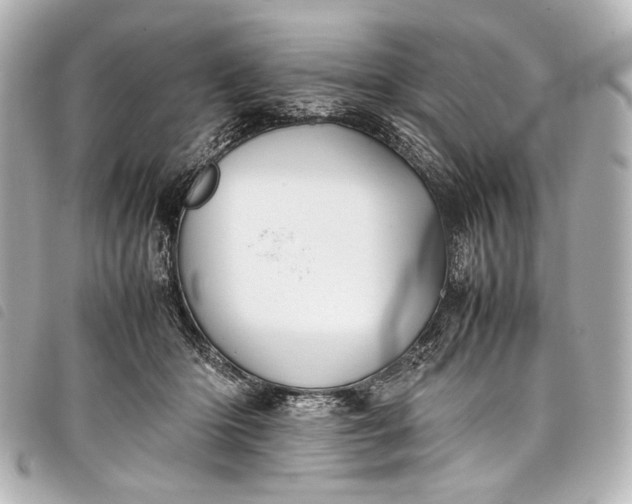 X0000098080414200804181203