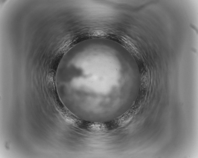 X0000098080415200804181203